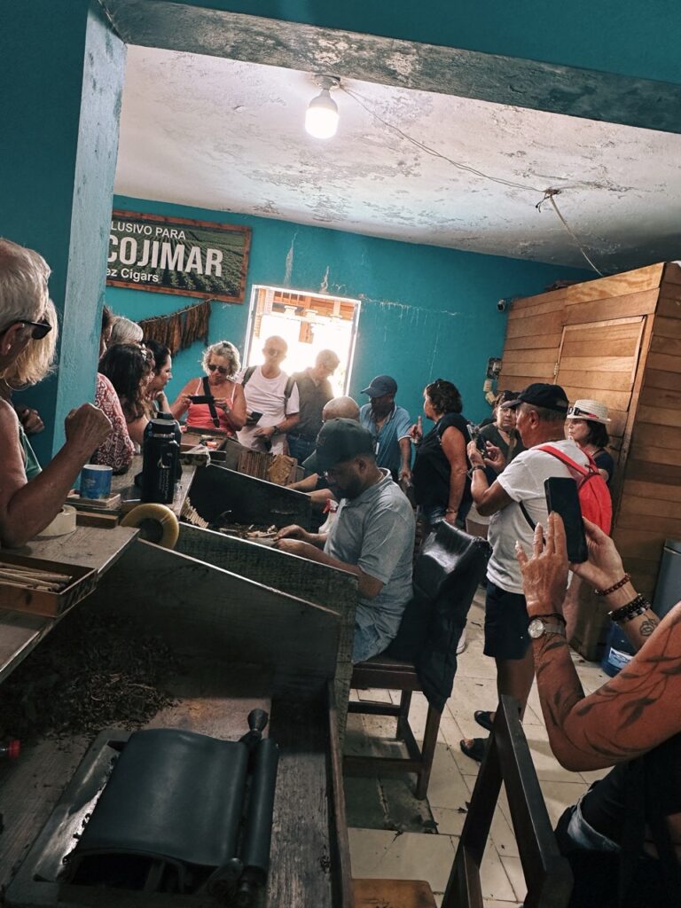 Cigars dominican republic