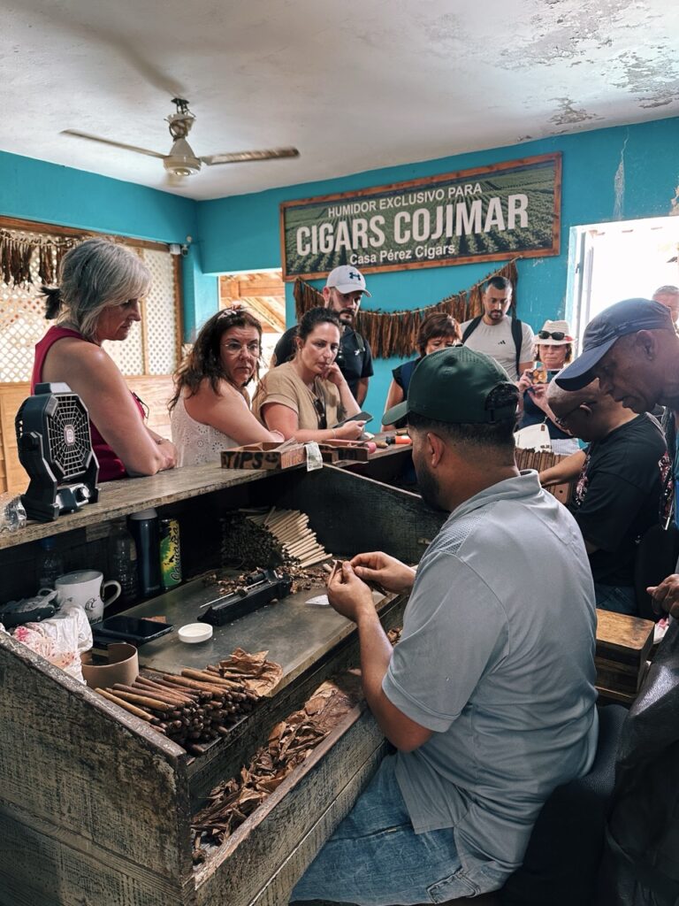 Cigars dominican republic
