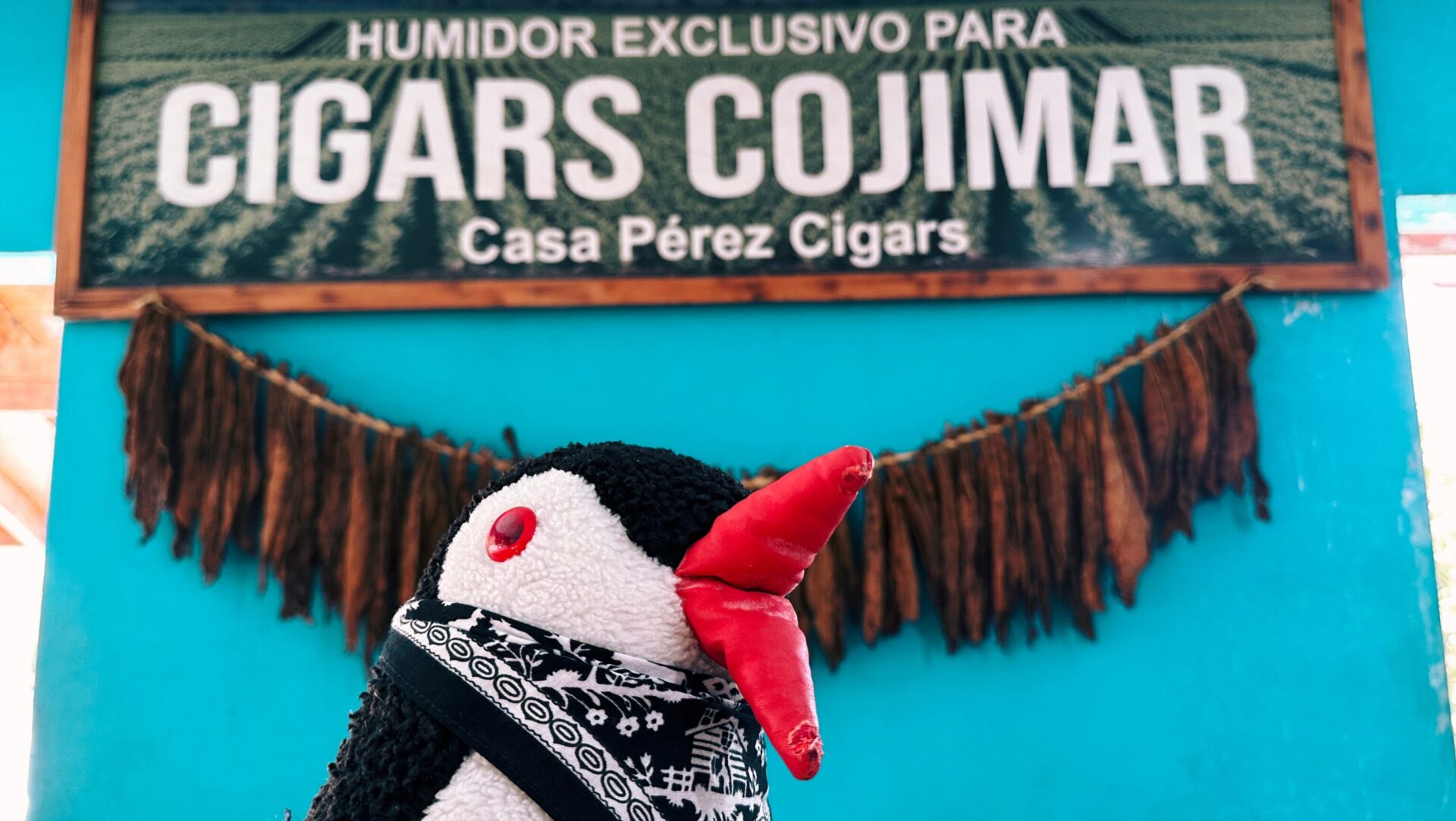Cigars dominican republic featured