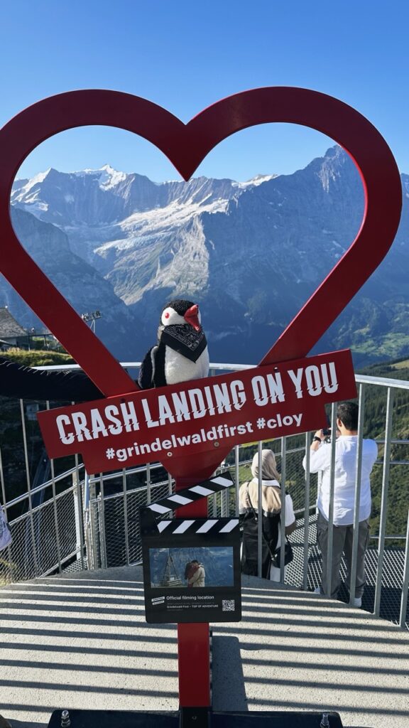 Crash landing on you