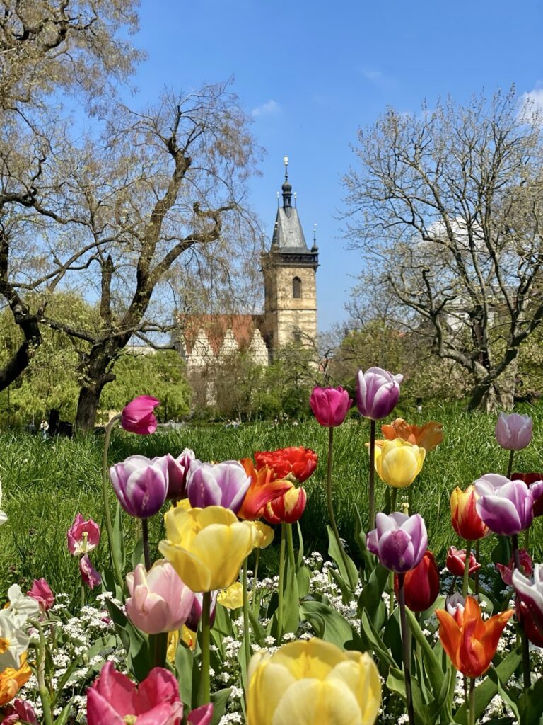 Czechia Things to Know about