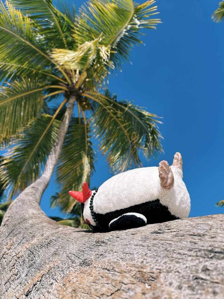 Dominican Republic Itinerary
