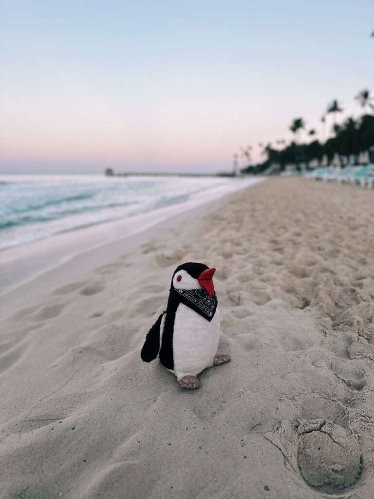 Dominican republic itinerary