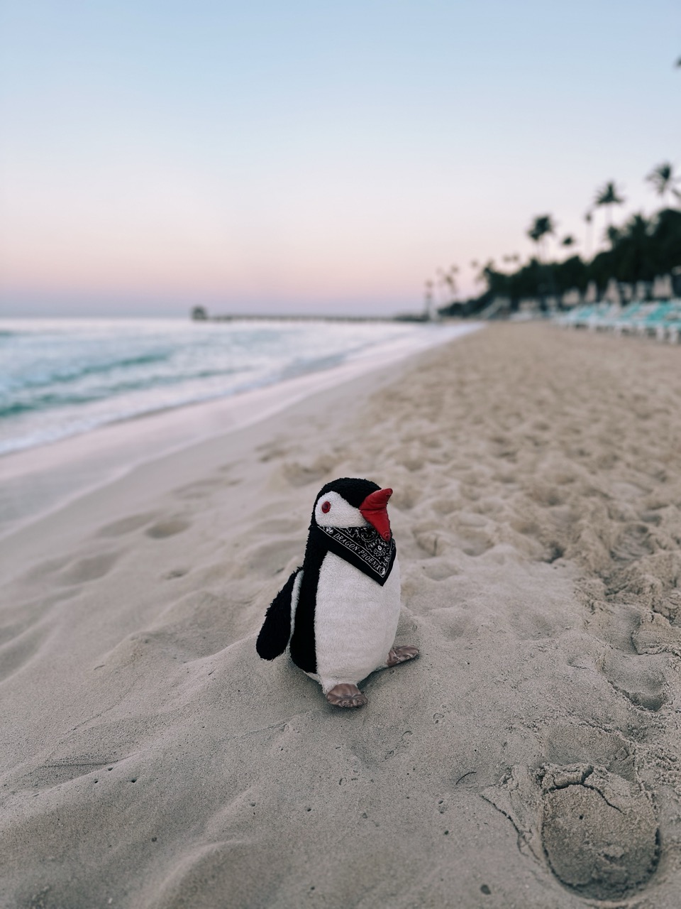 Dominican republic itinerary