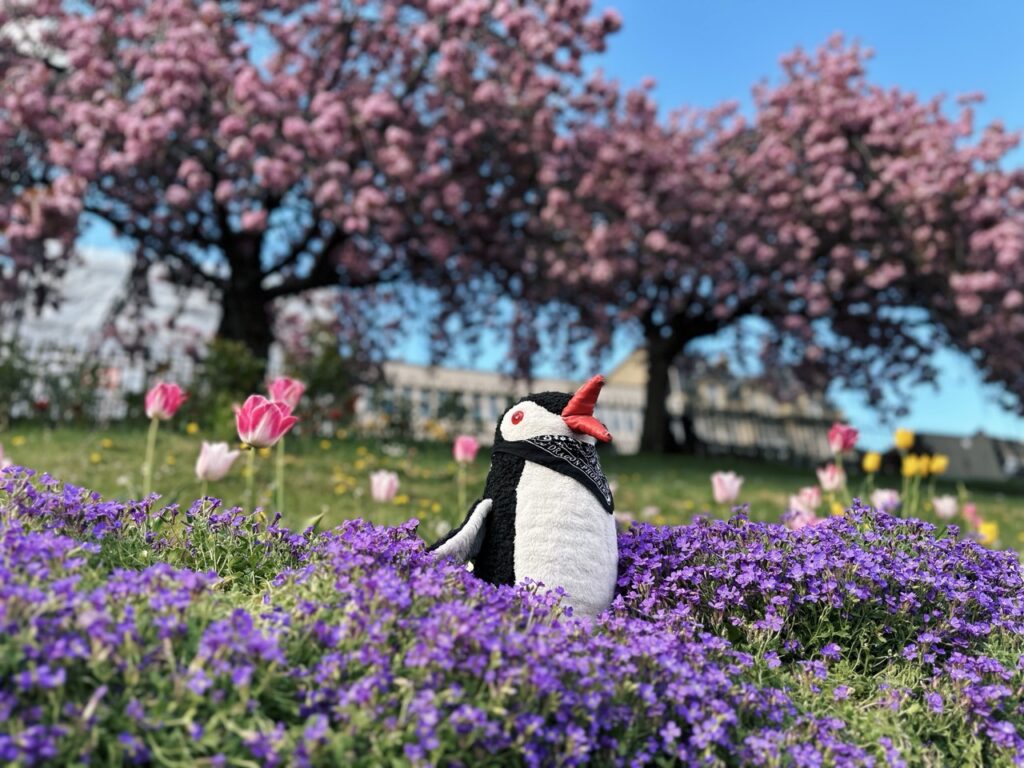 Edinburgh Guide