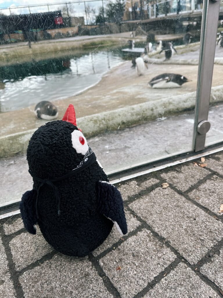 Edinburgh Zoo