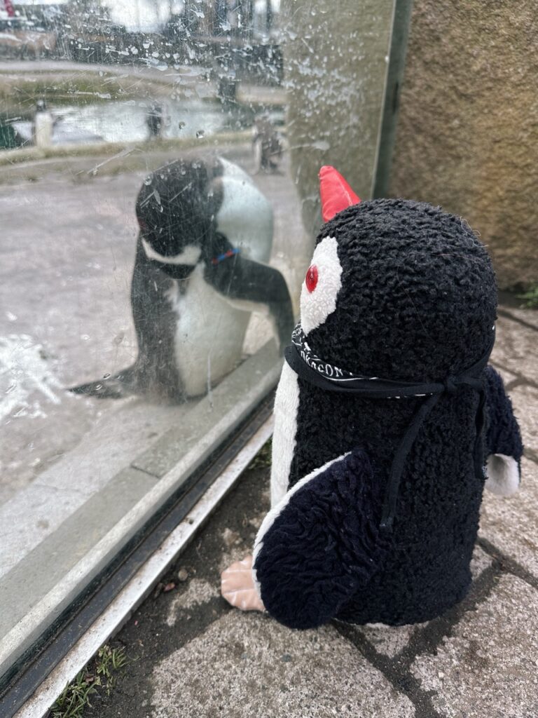 Edinburgh Zoo