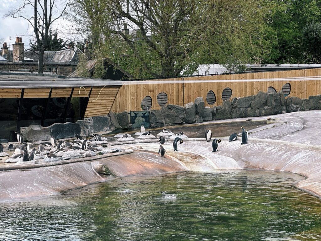 Edinburgh Zoo