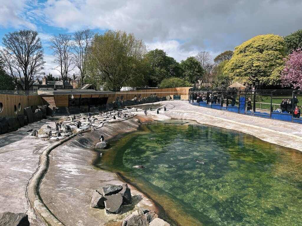 Edinburgh Zoo