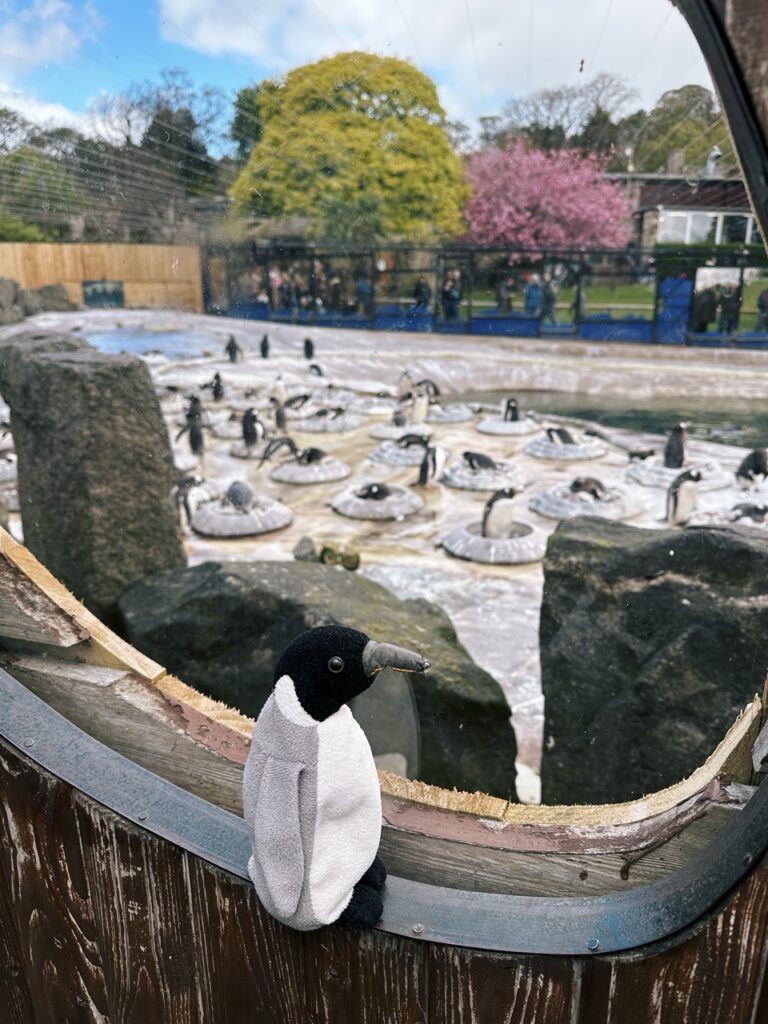 Edinburgh Zoo