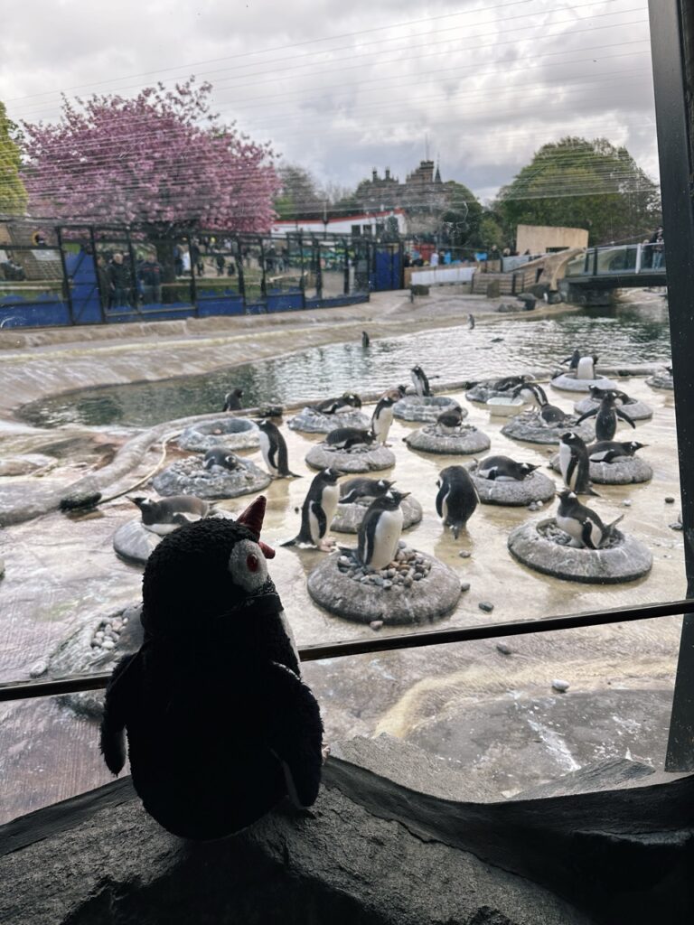 Edinburgh Zoo