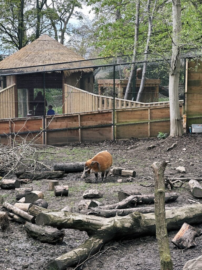 Edinburgh Zoo