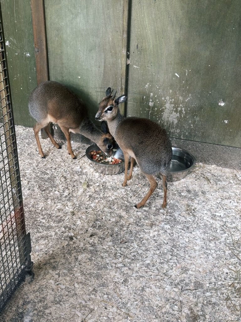Edinburgh Zoo