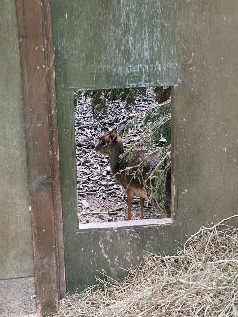 Edinburgh Zoo