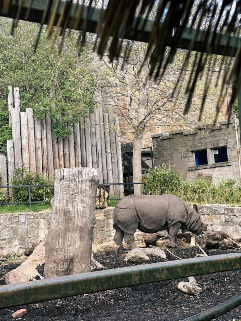Edinburgh Zoo