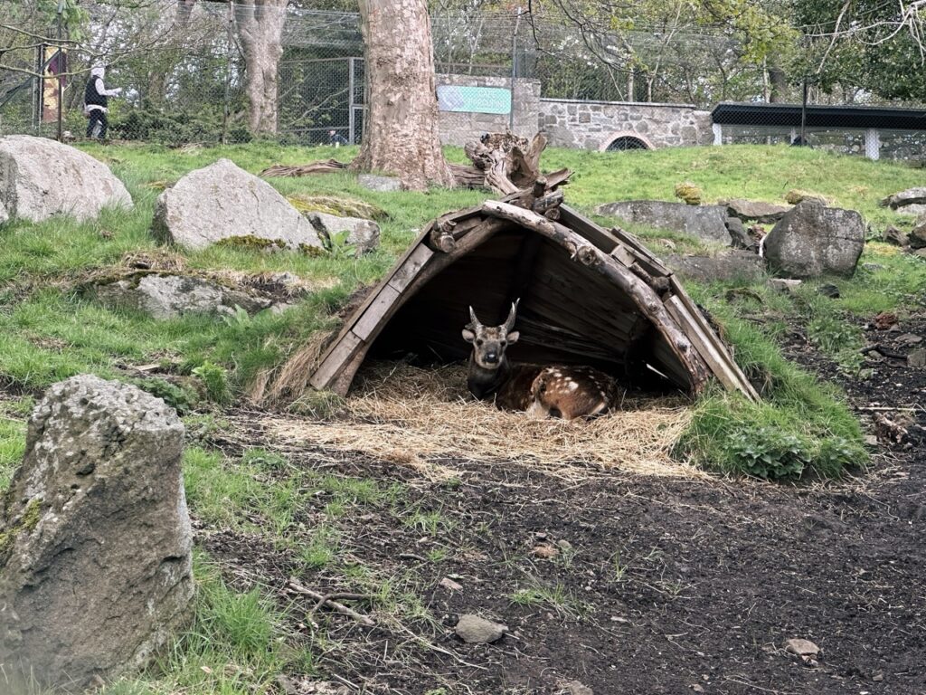 Edinburgh Zoo