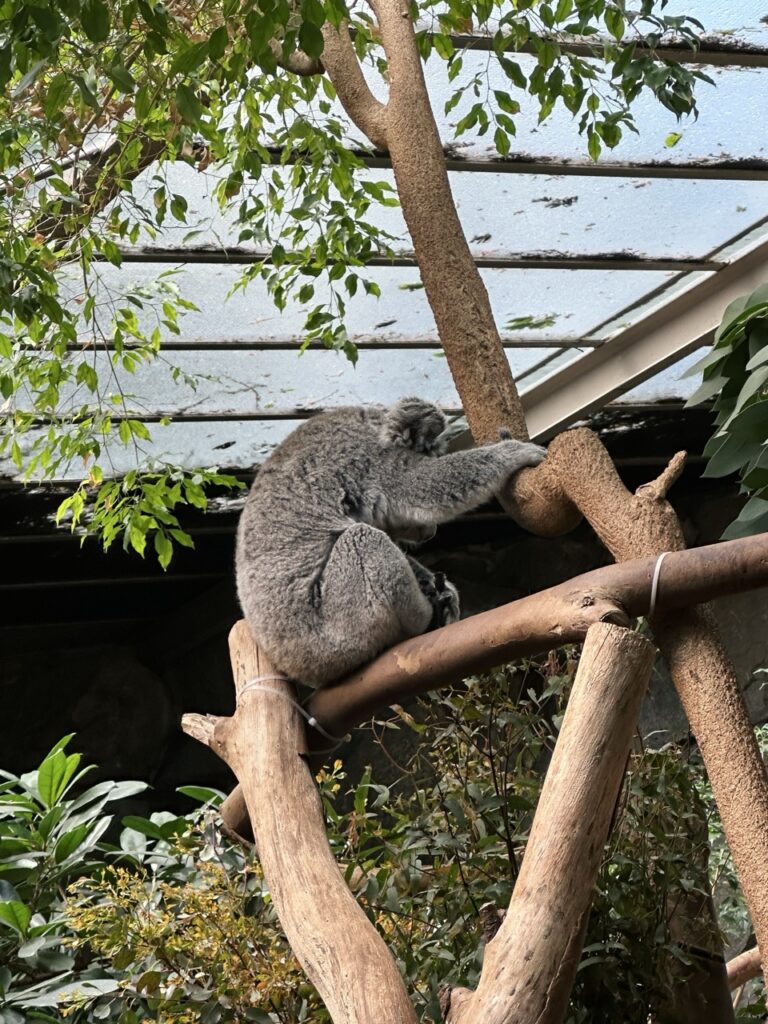 Edinburgh Zoo