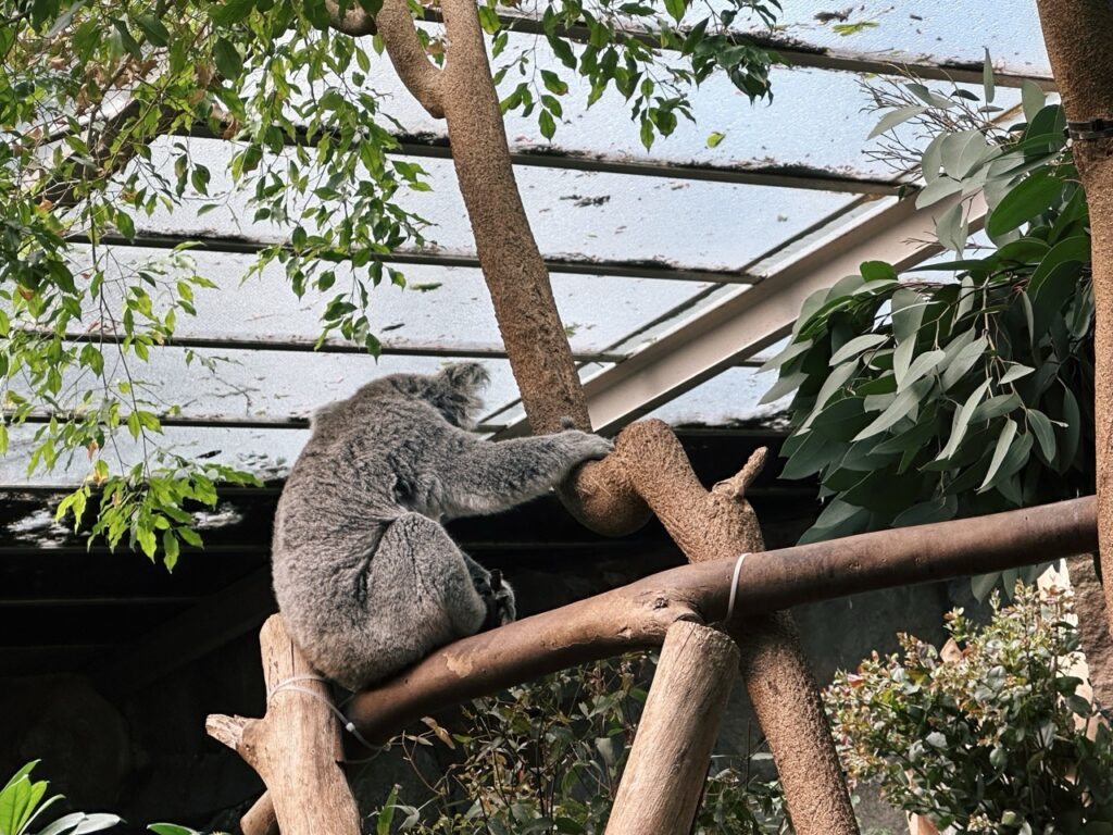 Edinburgh Zoo