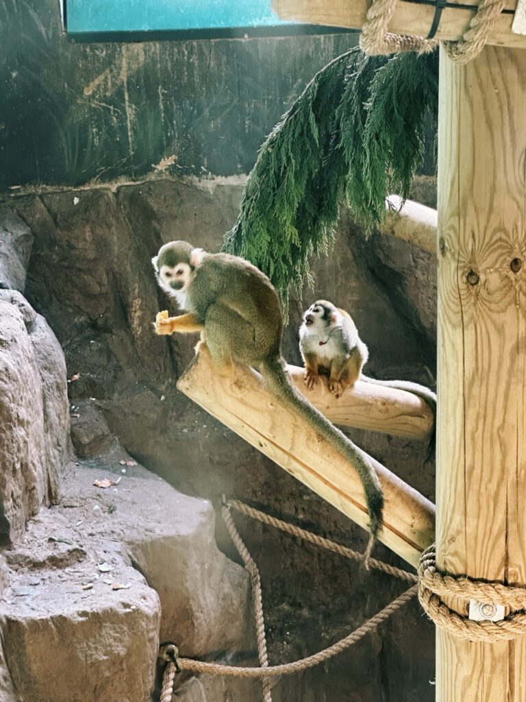 Edinburgh Zoo