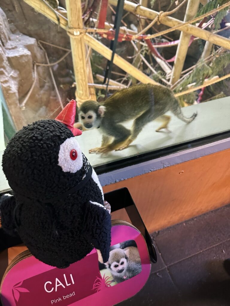 Edinburgh Zoo