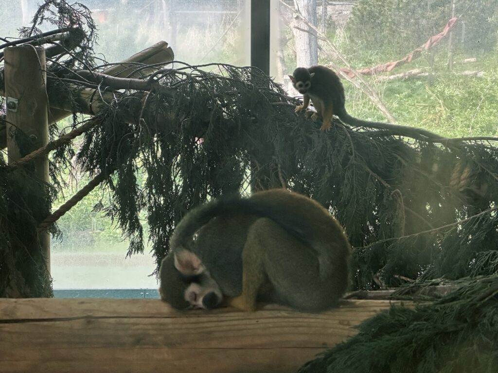 Edinburgh Zoo