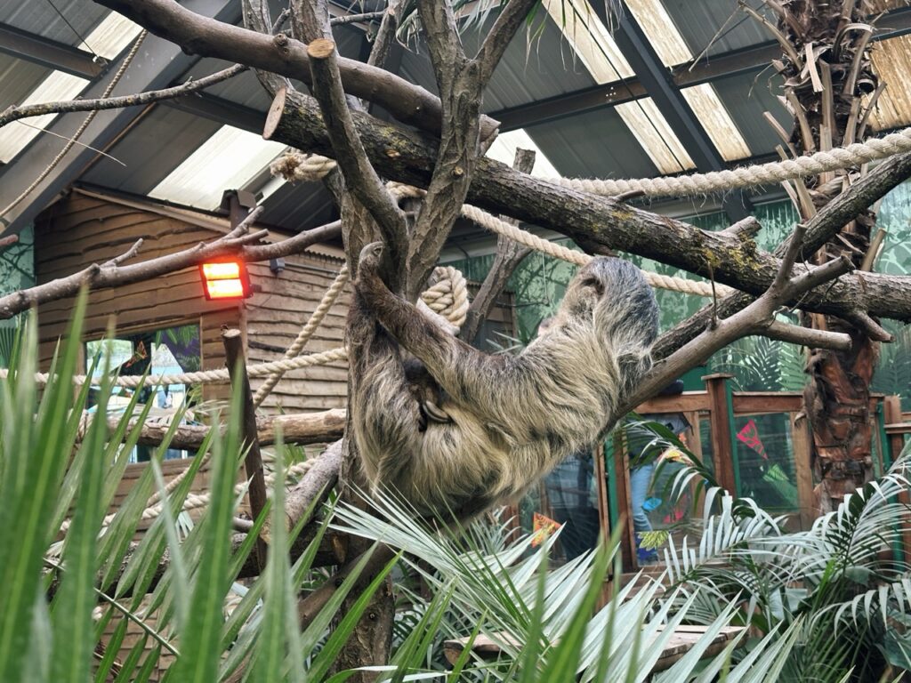 Edinburgh Zoo