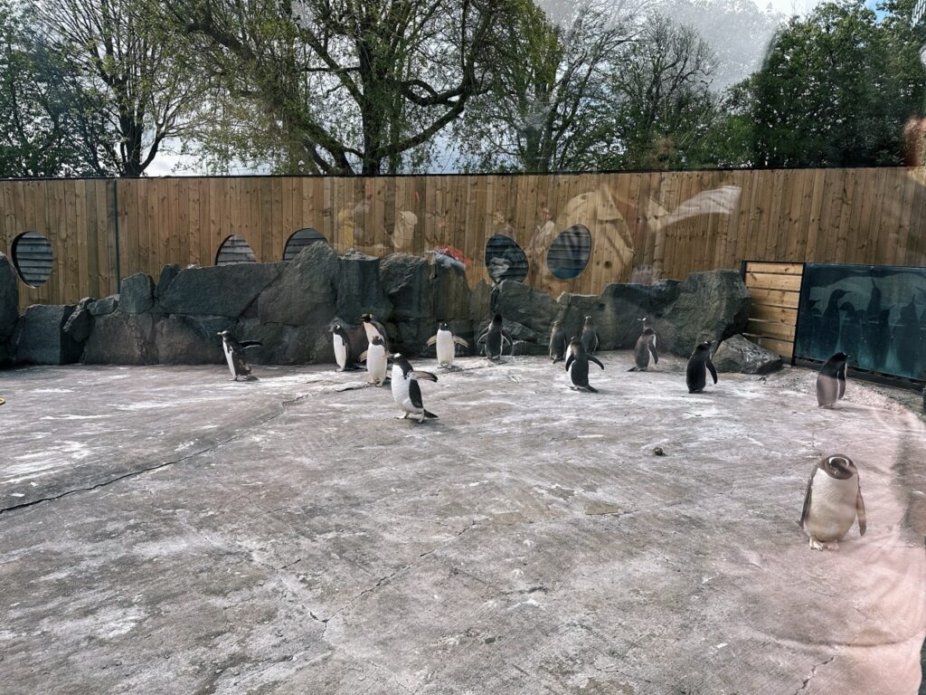 Edinburgh Zoo