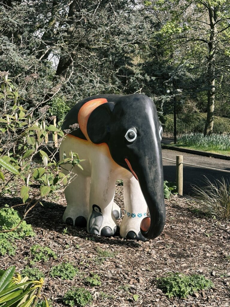Edinburgh Zoo