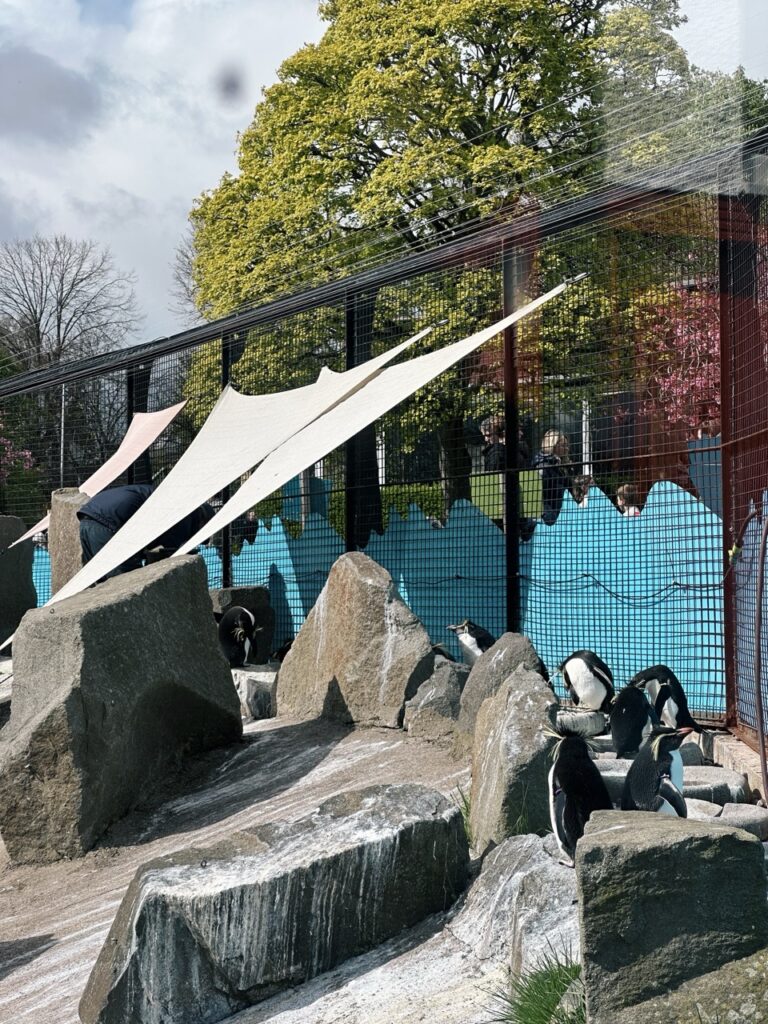 Edinburgh Zoo