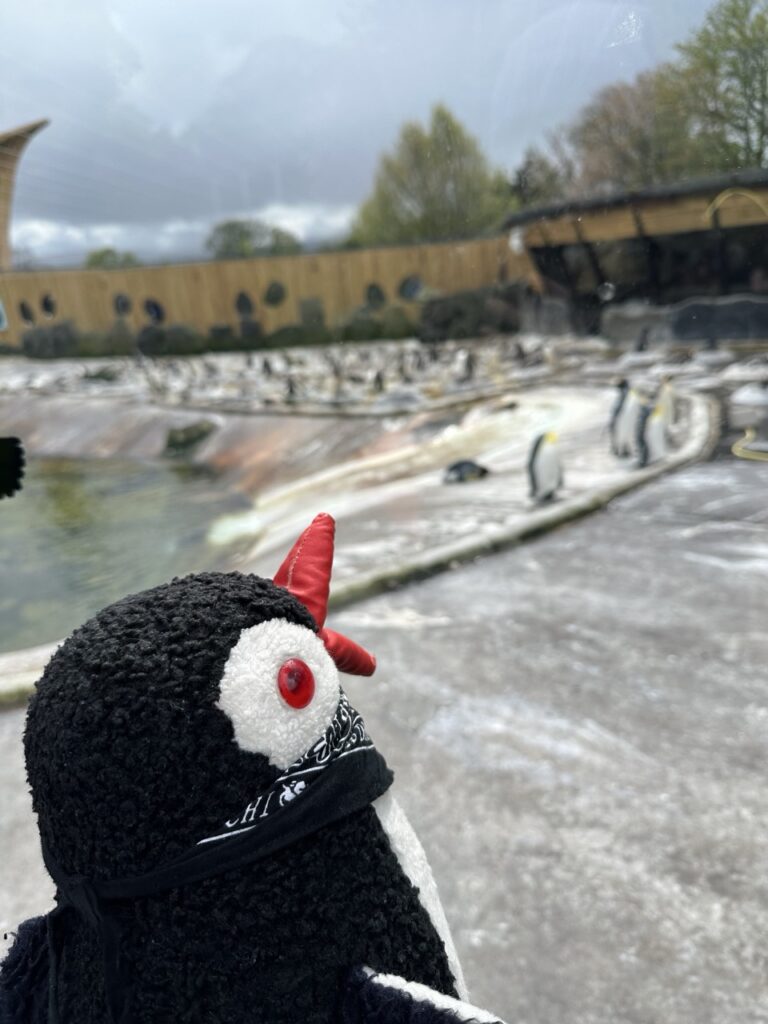 Edinburgh Zoo