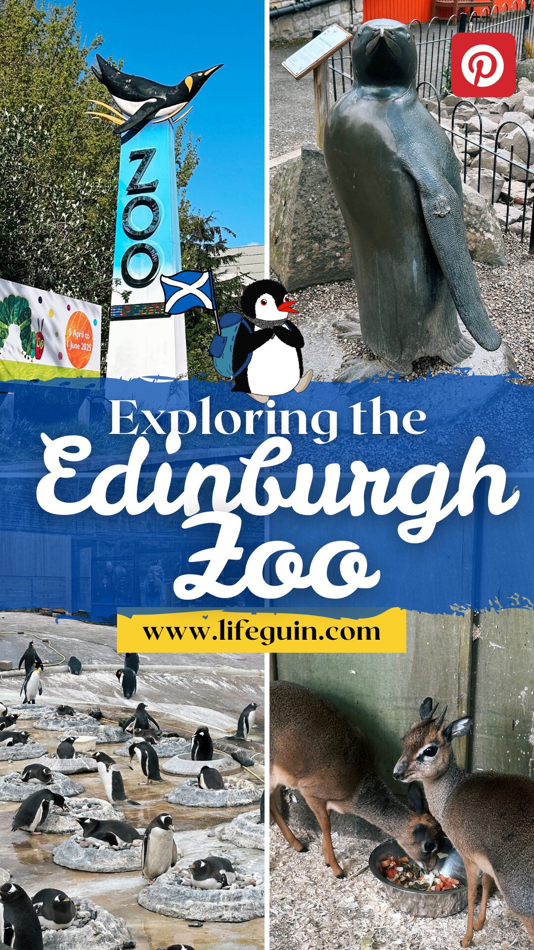 Edinburgh Zoo collage featuring penguin statues, live penguins, small deer, and mascot Miško