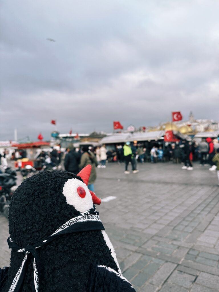 Eminonu square Istanbul