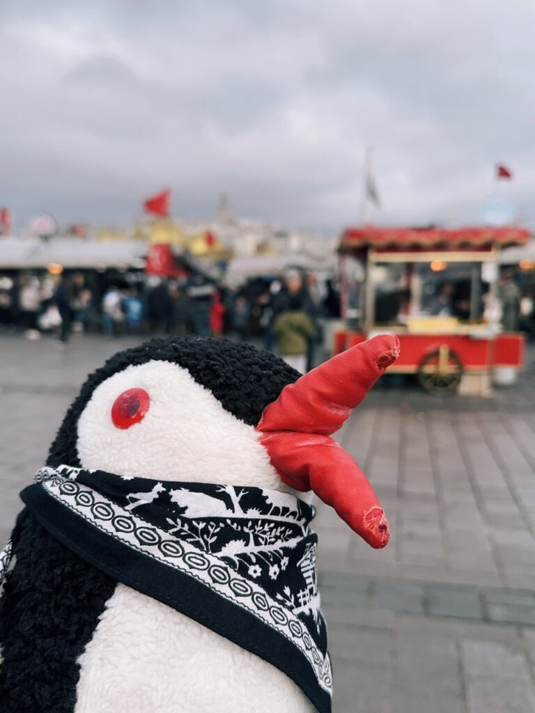 Eminonu square Istanbul
