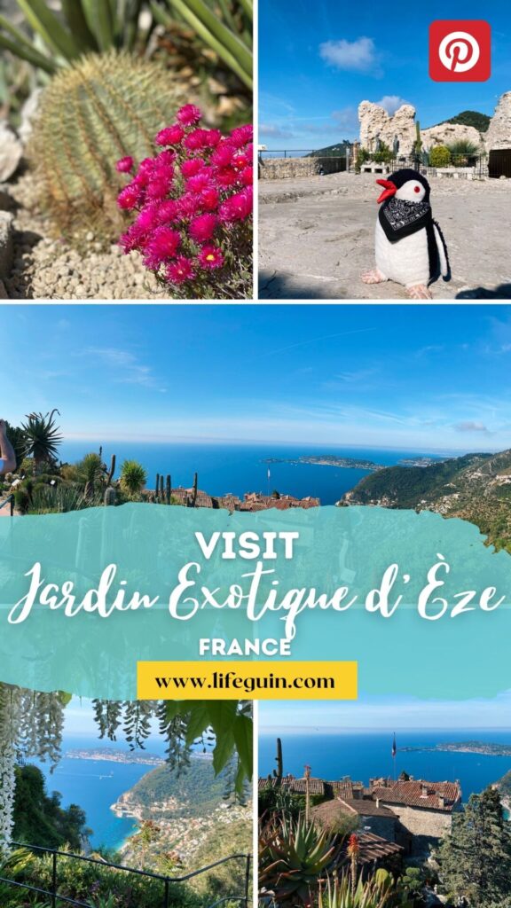 Collage of cacti, a toy penguin, and coastal views at Jardin Exotique d'Èze