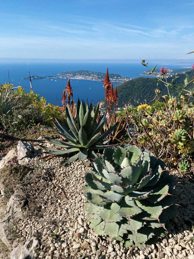 Eze france exotic Garden