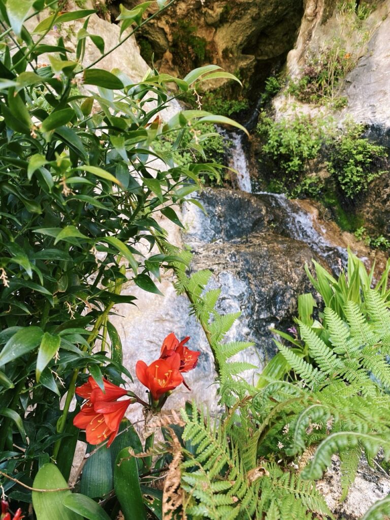 Eze france exotic Garden