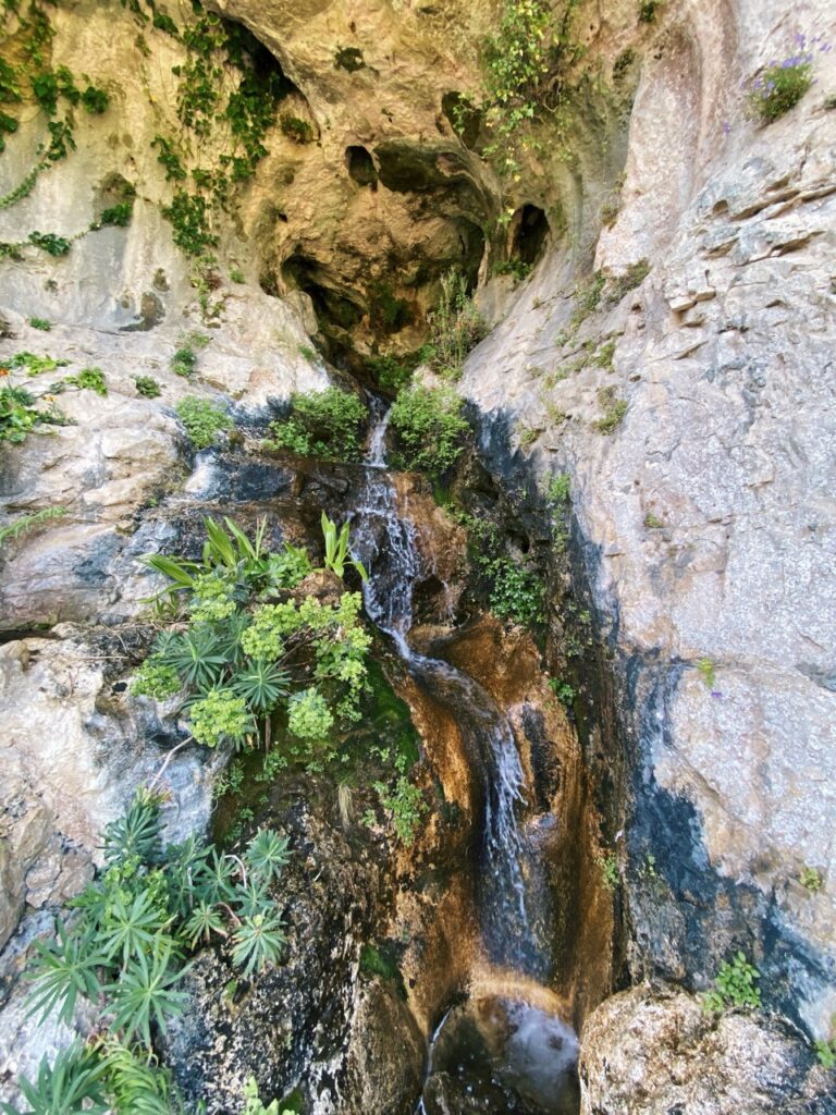 Eze france exotic Garden