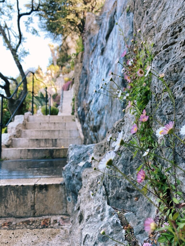 Eze france exotic Garden