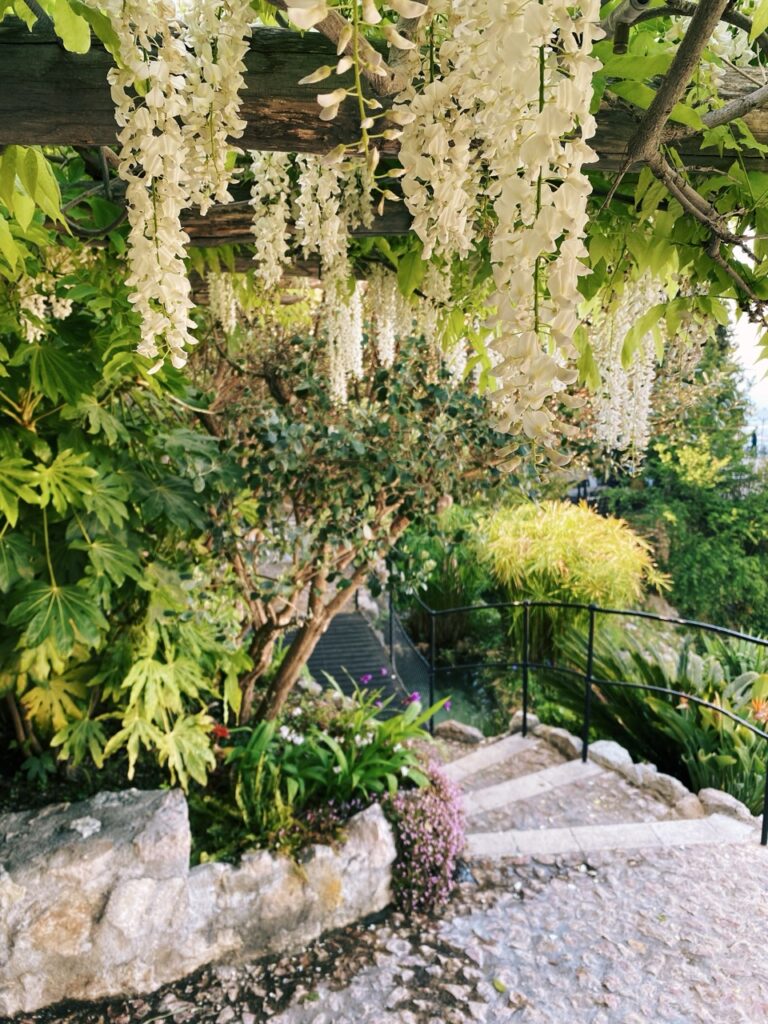 Eze france exotic Garden