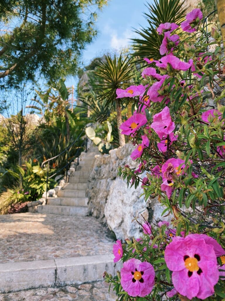 Eze france exotic Garden