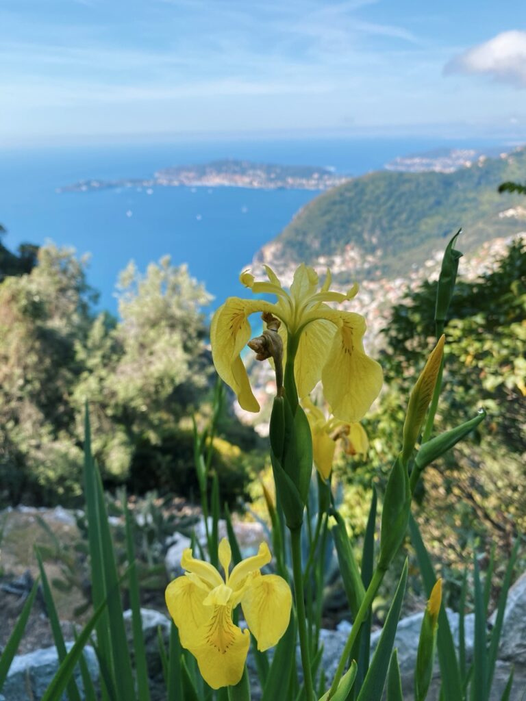 Eze france exotic Garden
