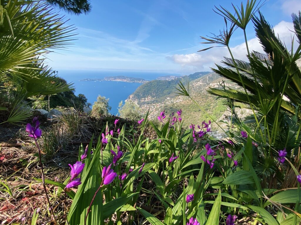 Eze france exotic Garden