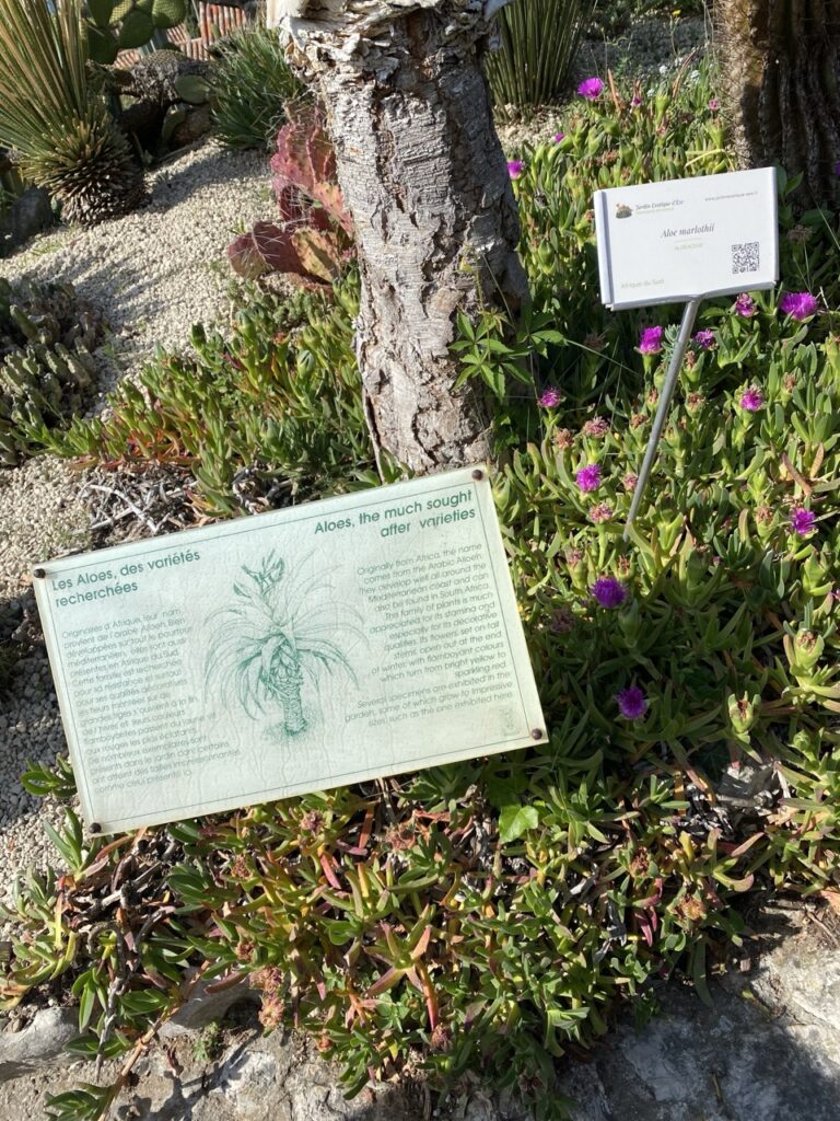 Eze france exotic Garden