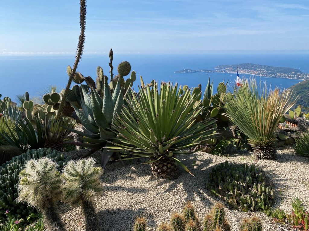 Eze france exotic Garden