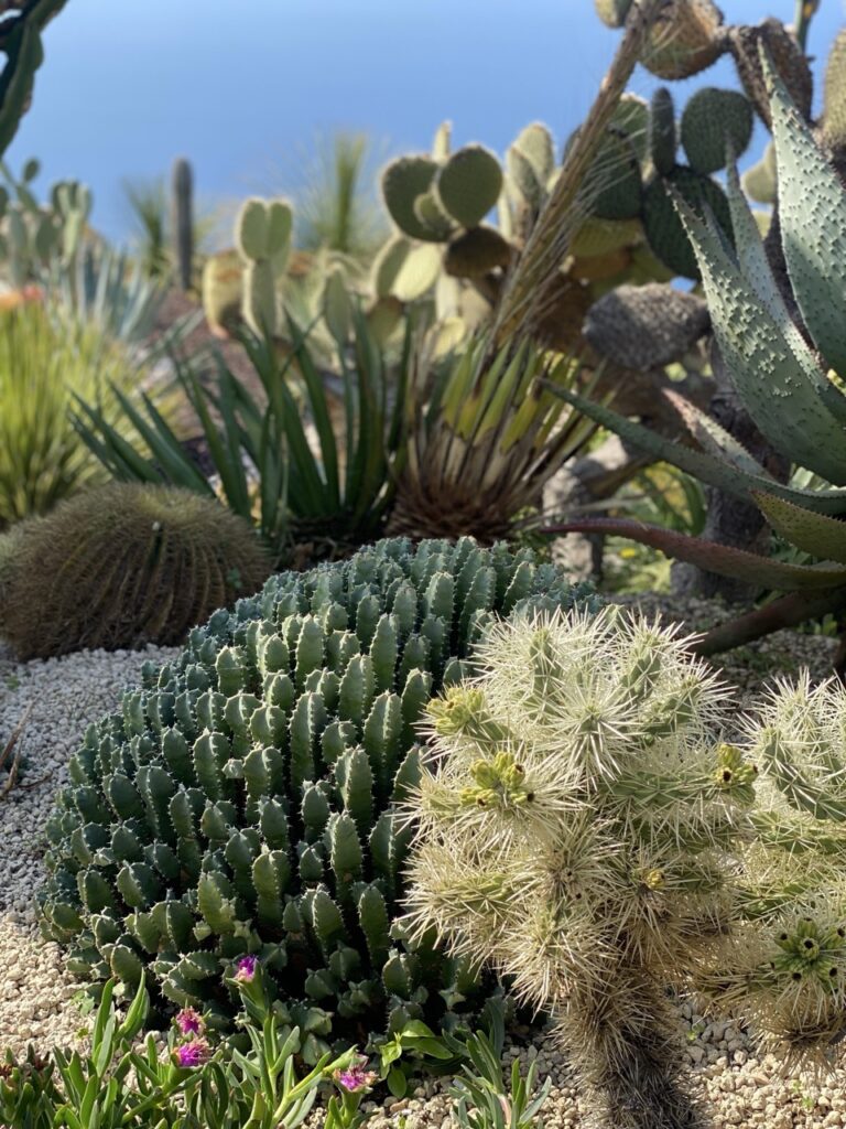 Eze france exotic Garden