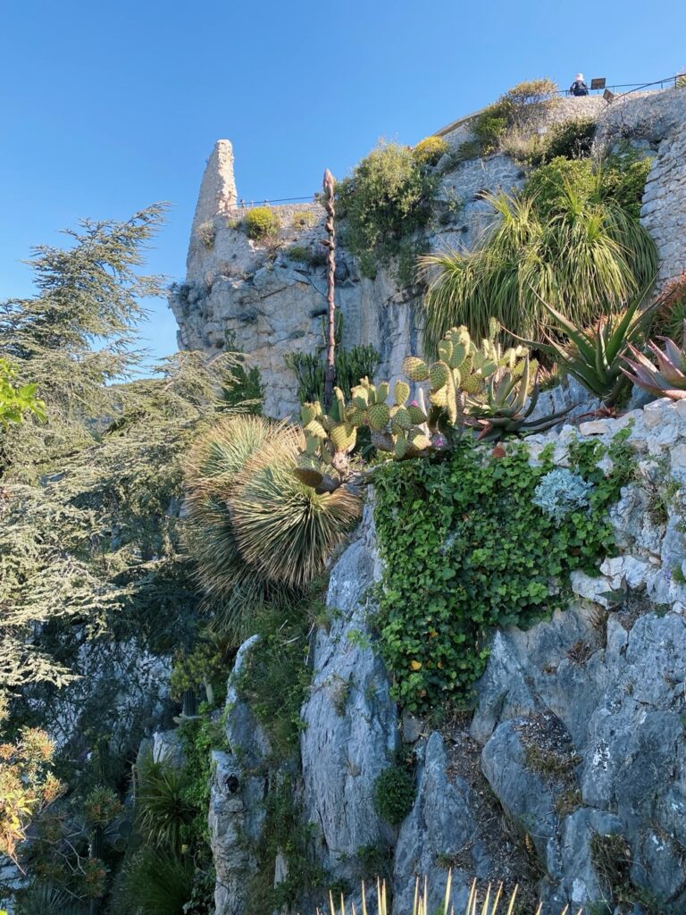 Eze france exotic Garden