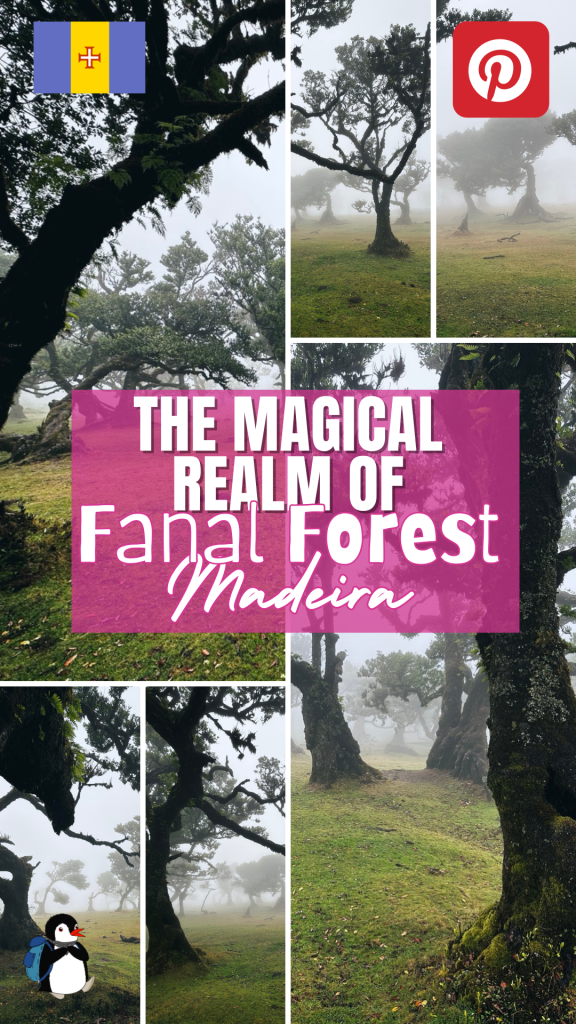 Pinterest pin for Fanal Forest in Madeira featuring misty trees, text overlay and Miško penguin