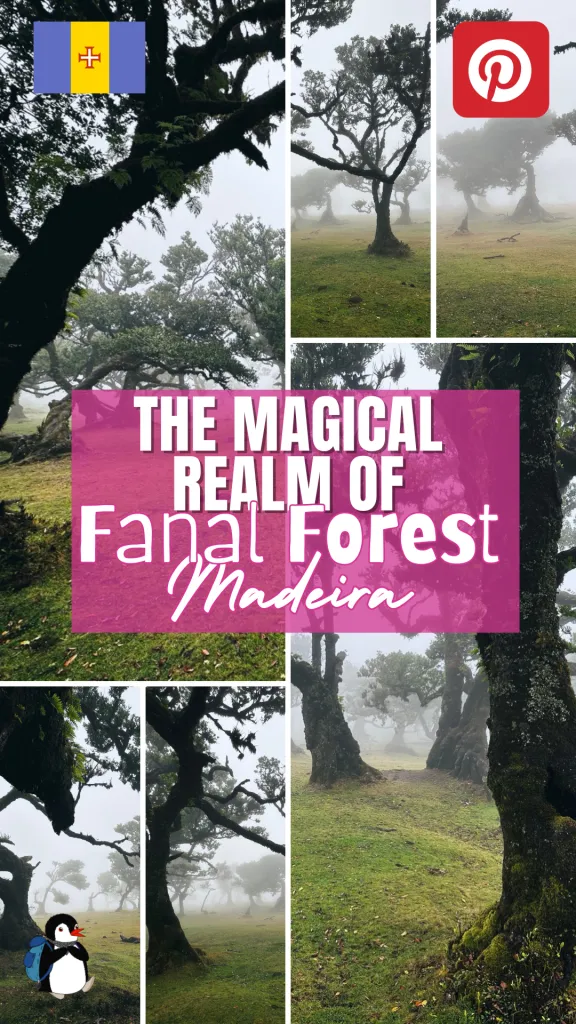 Pinterest pin for Fanal Forest in Madeira featuring misty trees, text overlay and Miško penguin