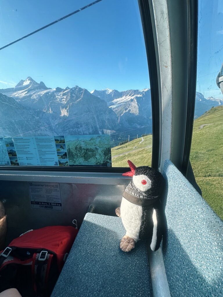 First Switzerland hike