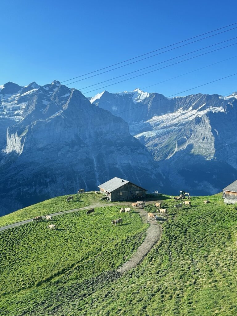 First Switzerland hike